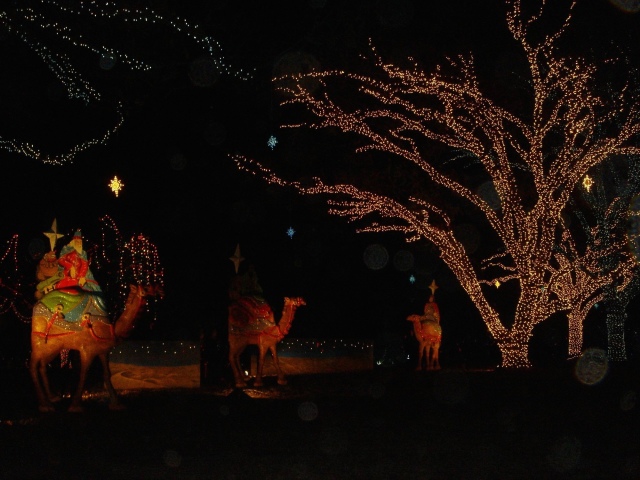 Hildebrand Christmas ScreenSaver/640x480_2005-12-22-40 Trail of Lights.jpg